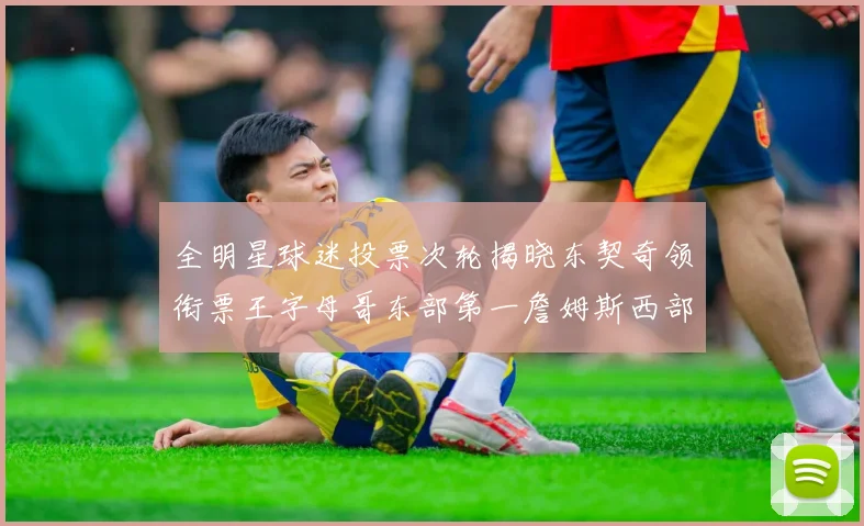 全明星球迷投票次轮揭晓东契奇领衔票王字母哥东部第一詹姆斯西部第八